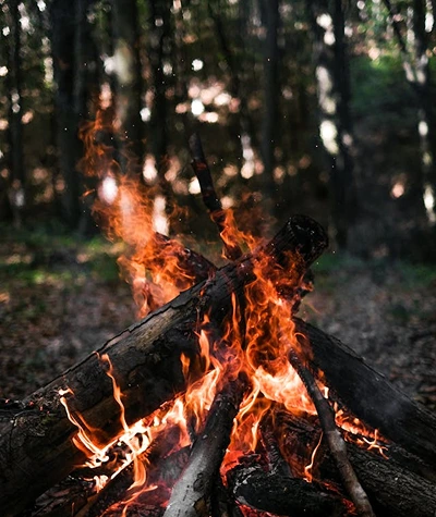 Bushcraft fire starting setup with dry tinder, kindling, ferro rod, prepared wood, and a small controlled campfire