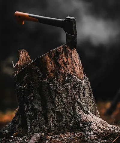 Camp axe with leather sheath, kindling, gloves, and small firewood arranged on a wooden outdoor surface