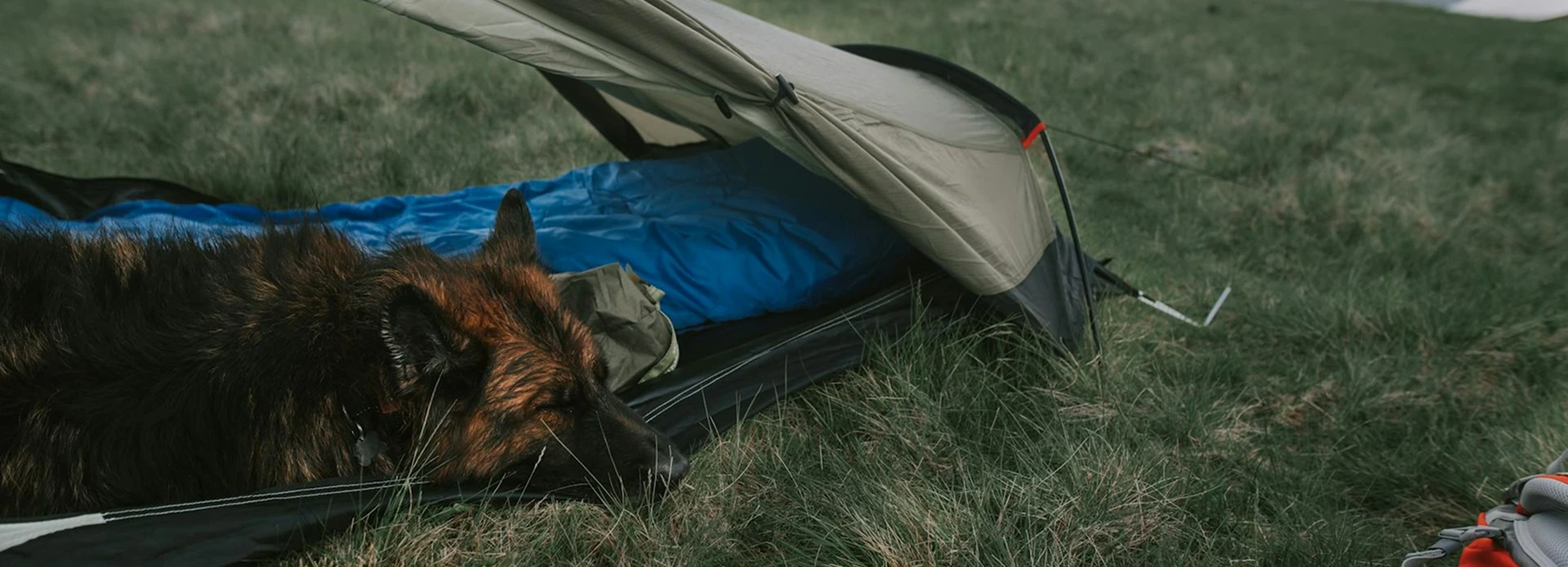 Camping sleep system laid out inside a tent with a sleeping bag, insulated pad, quilt, liner, and dry base layers.