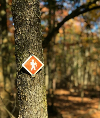 Day hiking safety checklist with a map, compass, headlamp, first aid kit, water filter, emergency bivvy, whistle, and packed daypack